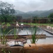 Top Barberton