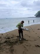 Top El Valle Top El Valle