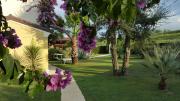 Top Legnago