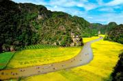 Top Ninh Binh
