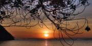 Top New Busuanga