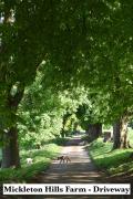 Sleep 12 across 4 cotswold cottages at Mickleton Hills Farm Sleep 12 across 4 cotswold cottages at Mickleton Hills Farm