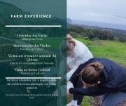 Top Angra do Heroísmo