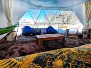 Hakuba Mori no Wasabi Farm Auto Campsite - Vacation STAY 22254v