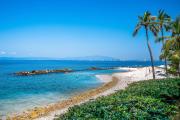 Top Puerto Vallarta