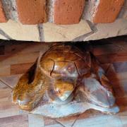 Top San Cristóbal de Las Casas