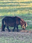 Top Domfront-en-Champagne