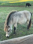 Top Domfront-en-Champagne