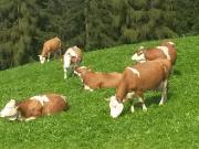 Top San Martino in Badia