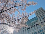 Hotel Monterey La Soeur Osaka