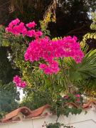 Top San Felice Circeo