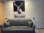 Top Le Grand-Bornand