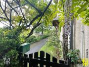 Top Saint-Nectaire Top Saint-Nectaire