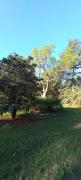 Top Valle Hermoso