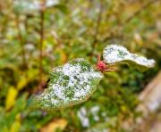 Top Kurort Altenberg