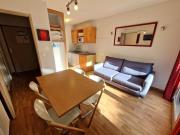 Appartement cosy 4 pers, proche télécabine, non-fumeur, animaux admis - FR-1-265-366