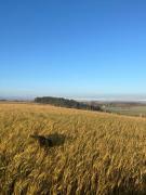 Top Cornhill-on-tweed