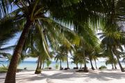 Top Koh Rong