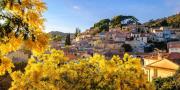 Top Bormes-les-Mimosas