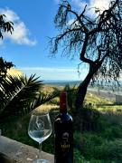 Top Giardina Gallotti