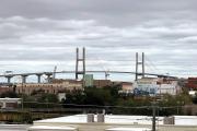 Top Savannah