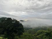 Top Monteverde