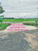 Top Arau Top Arau