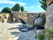 Top Kalafatis Top Kalafatis