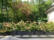 Top Divonne-les-Bains