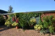 Top Ostružná