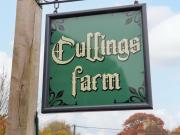 Bee Cottage Bee Cottage