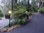 Top Mount Dandenong