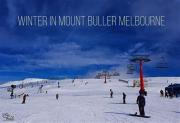 Top Mount Buller