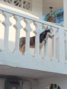 Top Pie de la Cuesta