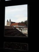 Top Steyr