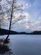 Top Grady Szlacheckie