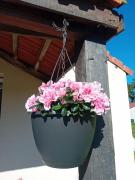 Top Arthon Top Arthon