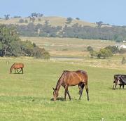 The Lancefield cottage - relax, revive and renew
