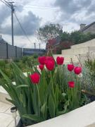 Top Saint-Jacques-de-la-Lande