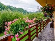 Pensiunea Andy Moieciu