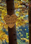 Top Dolná Lehota
