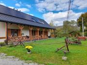 Top Dwernik Top Dwernik