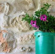 Top Triopetra Top Triopetra