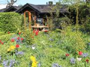 Bluebell Cottage - 27635 Bluebell Cottage - 27635