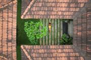 Top Alleppey
