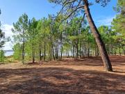 Top Saint-Trojan-les-Bains