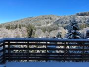 CHALET LES PRIMEVÈRES 4 Étoiles