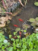Top San Cristóbal de Las Casas