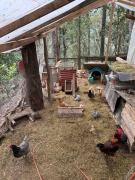 Top San Cristóbal de Las Casas