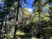 Top Les Orres Top Les Orres